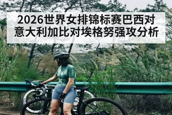 2026世界女排锦标赛巴西对意大利加比对埃格努强攻分析